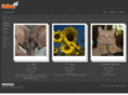 animalgraphics.net