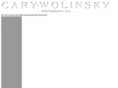 carywolinsky.com