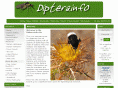 diptera.info