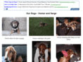 proctorhome.net