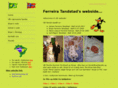 tandstad.net