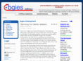 bgies.com