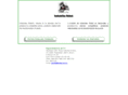 enginesistem.com