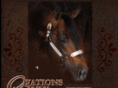 ovationsonly.com