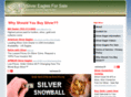 silvereaglesforsale.org