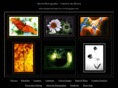 above-photography.com