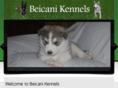 beicani.com