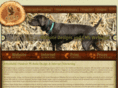 northerneagledesign.com