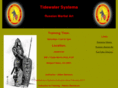 tidewatersystema.com