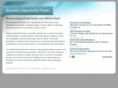 businessopportunityfinder.com