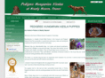 nearlyheavenvizsla.com