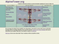 alpinetower.org