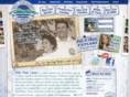 bluestarcamps.com