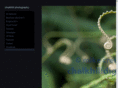 chalkhilldigital.com