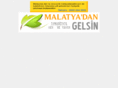 malatyadangelsin.com