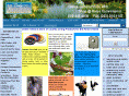 modfarm.com