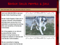 bordercolliepuppies4sale.com