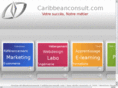 caribbeanconsult.net