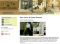 carpetcleaninglansing.net