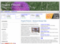 mypergolapictures.com