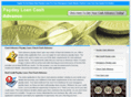 paydayloanonlinecashadvance.net