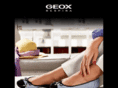 geoxjapan.com