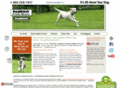 dogwatchnm.com