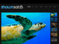 shawnsato.com