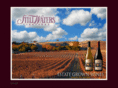 stillwatersvineyards.com