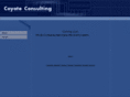 coyoteconsulting.com