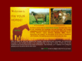 fixyourhorse.com