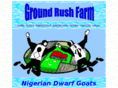 groundrushfarm.com