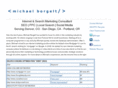 michaelborgelt.com