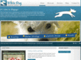 whitedogdesigngroup.com