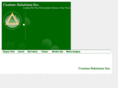 customsolutionsinc.com