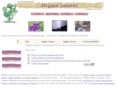 jimrinker.com