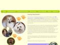 shampoochdogsalon.com