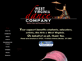 wvdanceco.com