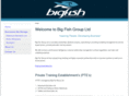 bigfishgroup.co.nz