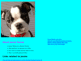 jessietackes.com