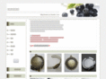 jun-beads.com