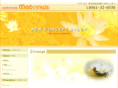lavie-materials.com