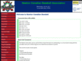 newtonbaseball.com