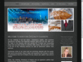 newyorkcleanersnj.com