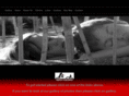 saphiresheppard.com
