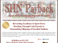 shnpayback.com