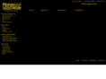 moneywizefinancial.com