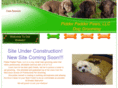 pidderpadderpaws.com