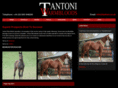 tantoni.co.uk