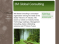 3mglobalconsulting.com